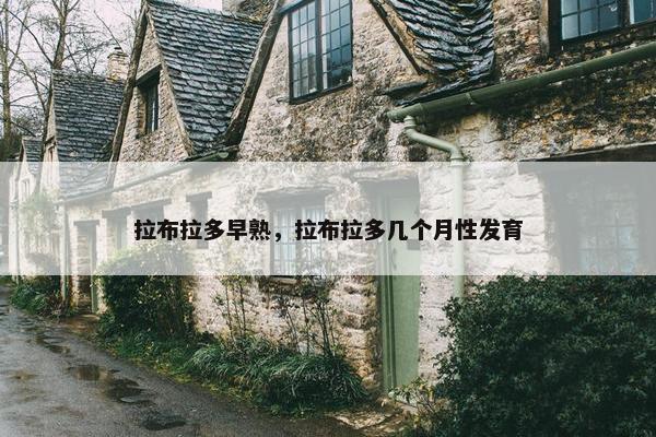 拉布拉多早熟，拉布拉多几个月性发育
