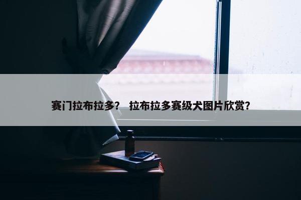 赛门拉布拉多? 拉布拉多赛级犬图片欣赏?