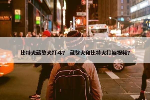 比特犬藏獒犬打斗? 藏獒犬和比特犬打架视频?