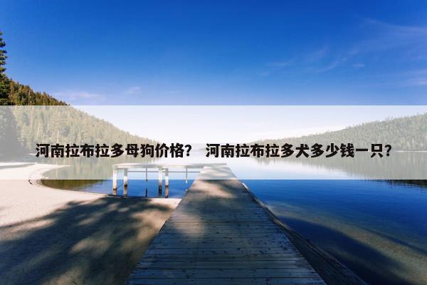 河南拉布拉多母狗价格? 河南拉布拉多犬多少钱一只?