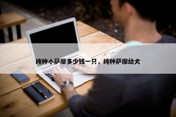 纯种小萨摩多少钱一只,纯种萨摩幼犬