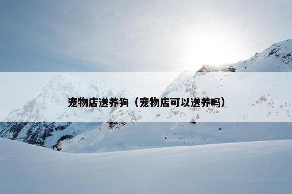 宠物店送养狗(宠物店可以送养吗)