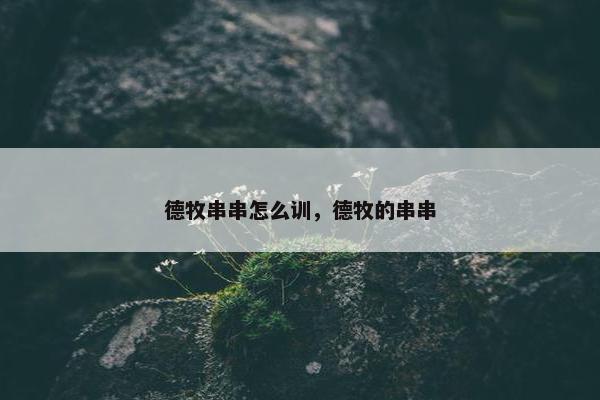 德牧串串怎么训,德牧的串串