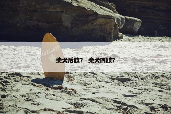 柴犬后肢? 柴犬四肢?