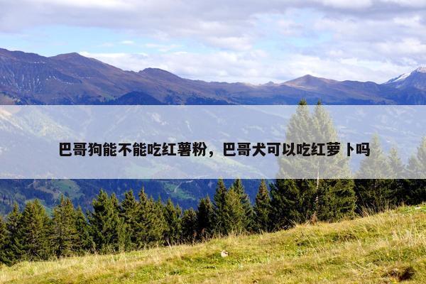 巴哥狗能不能吃红薯粉,巴哥犬可以吃红萝卜吗