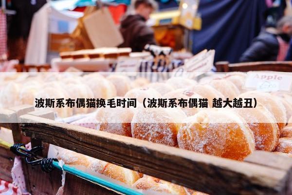 换毛