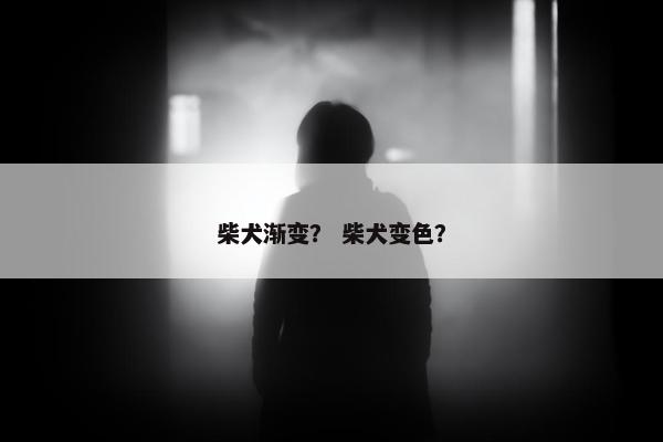 金生
