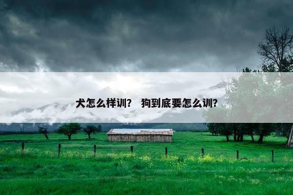 犬怎么样训？ 狗到底要怎么训？