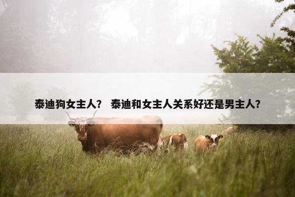 泰迪狗女主人？ 泰迪和女主人关系好还是男主人？