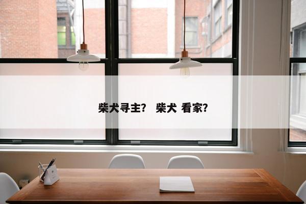 柴犬寻主？ 柴犬 看家？