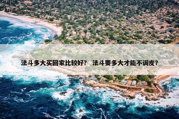 法斗多大买回家比较好？ 法斗要多大才能不调皮？