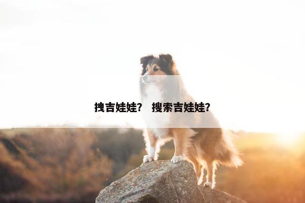 拽吉娃娃？ 搜索吉娃娃？