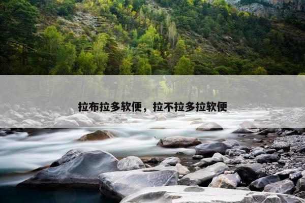 拉布拉多软便，拉不拉多拉软便