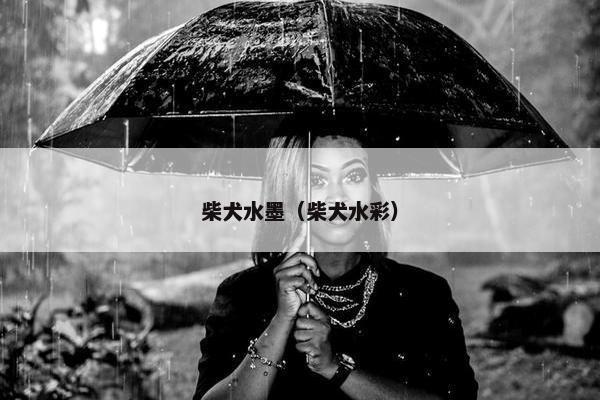 图案