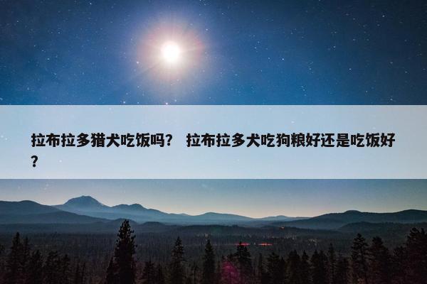 拉布拉多猎犬吃饭吗? 拉布拉多犬吃狗粮好还是吃饭好?