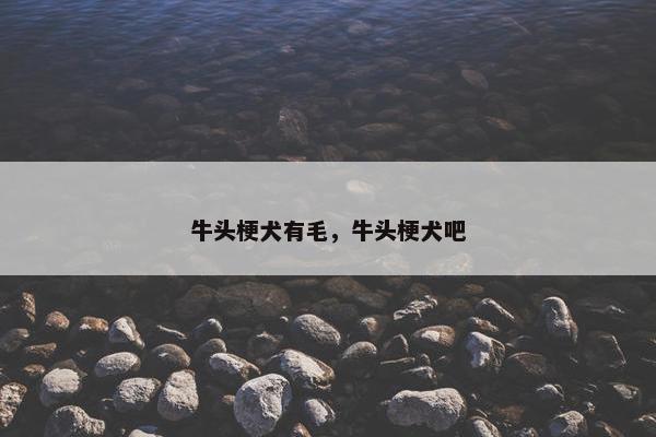 牛头梗犬有毛，牛头梗犬吧