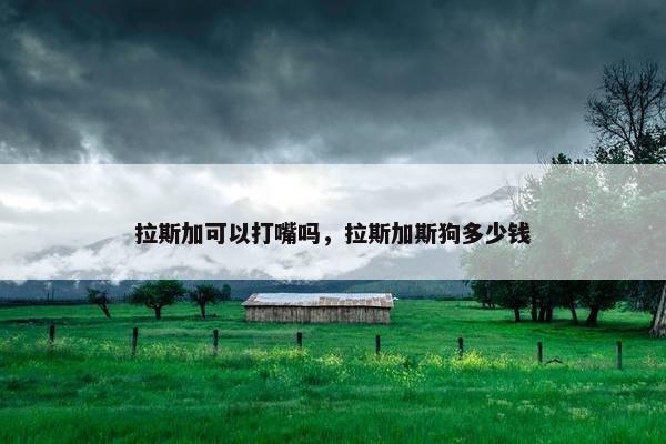拉斯加可以打嘴吗，拉斯加斯狗多少钱