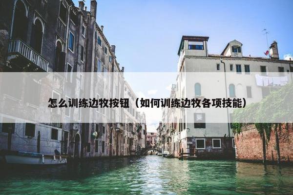 怎么训练边牧按钮(如何训练边牧各项技能)