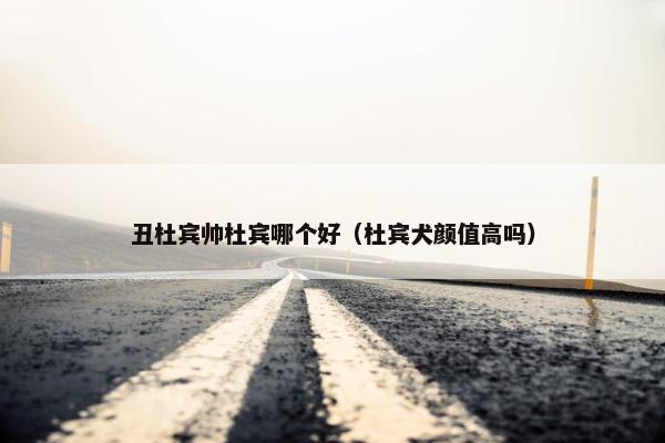 丑杜宾帅杜宾哪个好（杜宾犬颜值高吗）