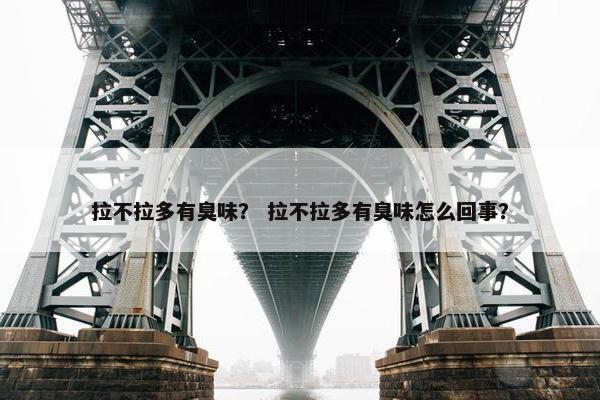 拉不拉多有臭味？ 拉不拉多有臭味怎么回事？