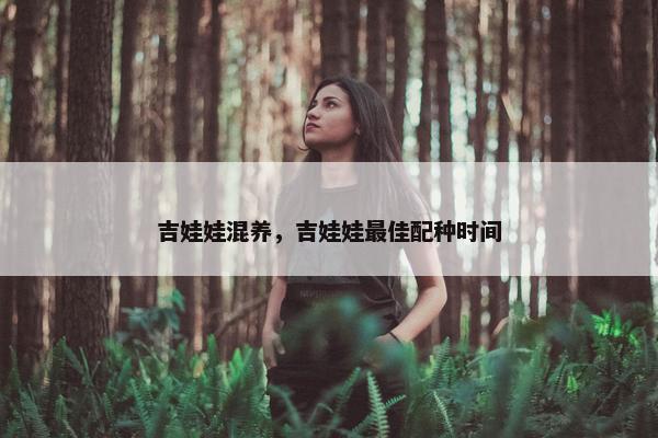 吉娃娃混养，吉娃娃最佳配种时间