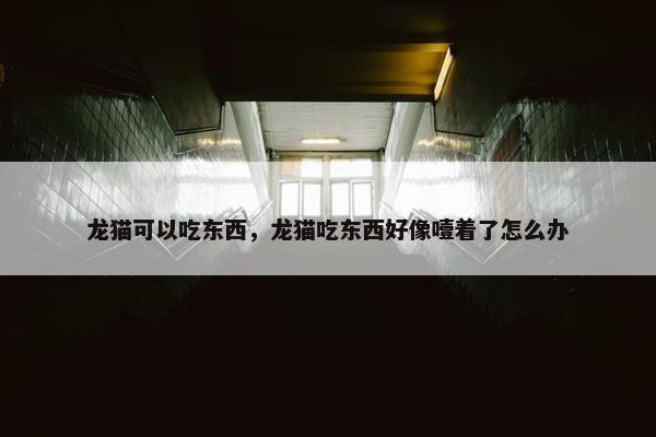 龙猫可以吃东西,龙猫吃东西好像噎着了怎么办