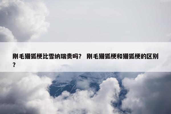 刚毛猎狐梗比雪纳瑞贵吗? 刚毛猎狐梗和猎狐梗的区别?