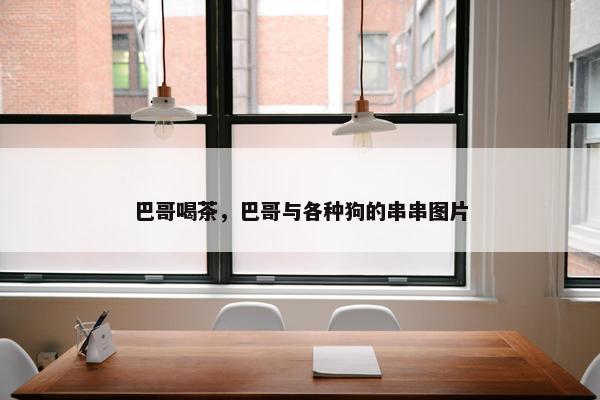 巴哥喝茶,巴哥与各种狗的串串图片