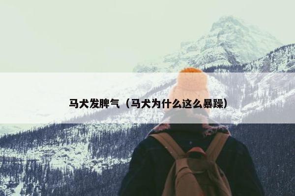 马犬的