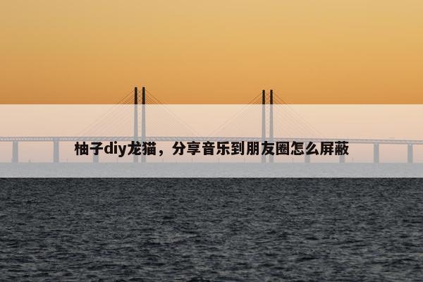 柚子diy龙猫,分享音乐到朋友圈怎么屏蔽