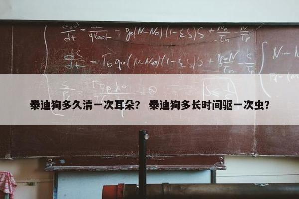泰迪狗多久清一次耳朵? 泰迪狗多长时间驱一次虫?