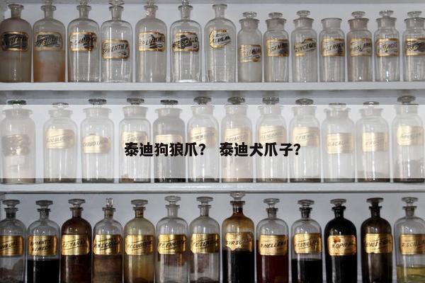 泰迪狗狼爪？ 泰迪犬爪子？