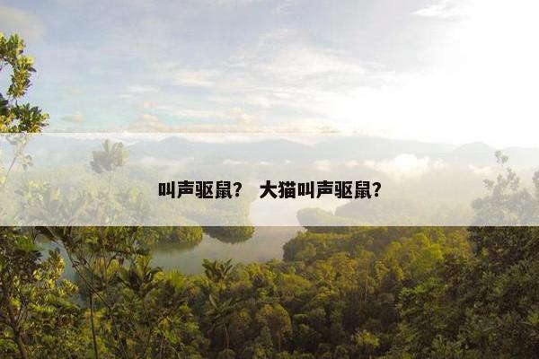 叫声驱鼠？ 大猫叫声驱鼠？