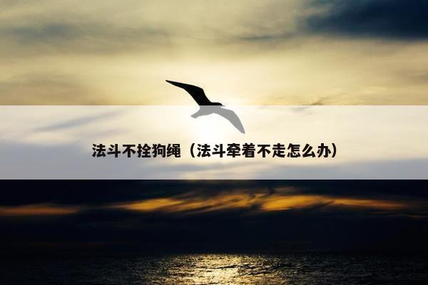 法斗不拴狗绳（法斗牵着不走怎么办）