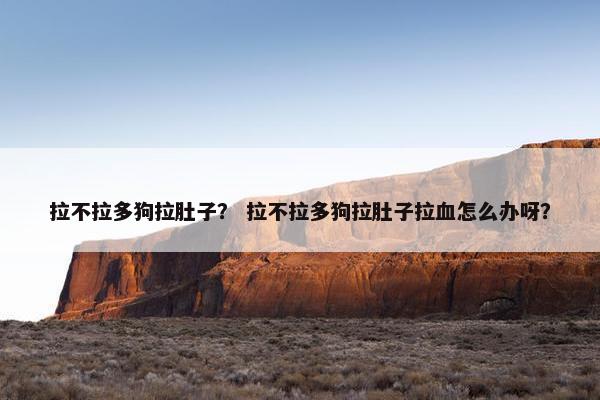 拉不拉多狗拉肚子？ 拉不拉多狗拉肚子拉血怎么办呀？