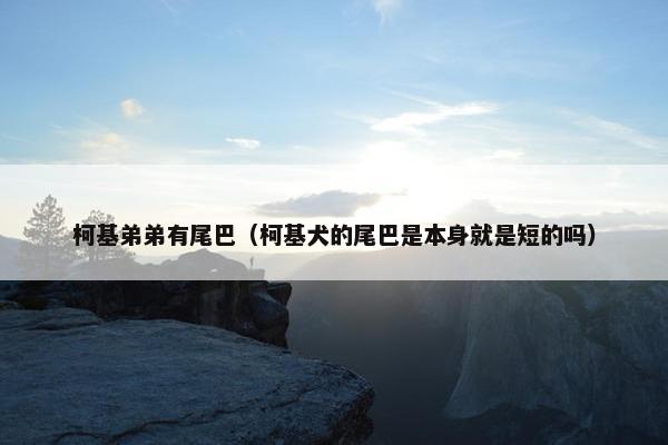 柯基弟弟有尾巴（柯基犬的尾巴是本身就是短的吗）