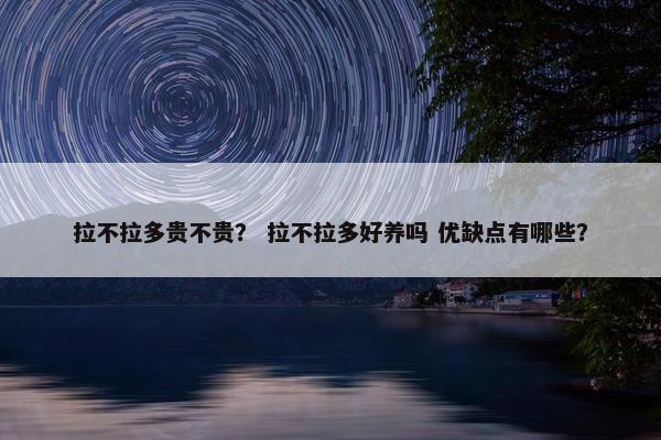 拉不拉多贵不贵？ 拉不拉多好养吗 优缺点有哪些？