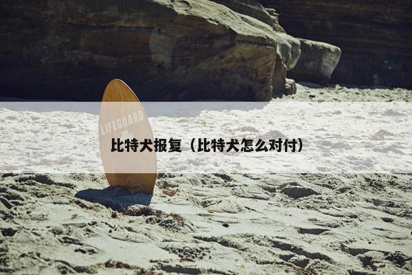比特犬报复（比特犬怎么对付）
