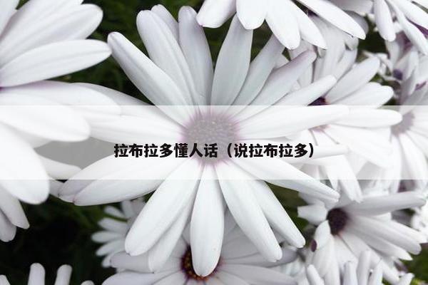 拉布拉多懂人话(说拉布拉多)