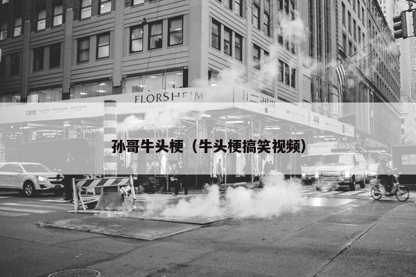 孙哥牛头梗（牛头梗搞笑视频）