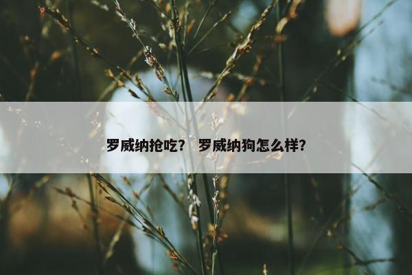 罗威纳抢吃？ 罗威纳狗怎么样？