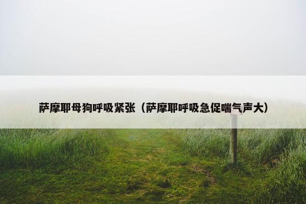 萨摩耶母狗呼吸紧张（萨摩耶呼吸急促喘气声大）