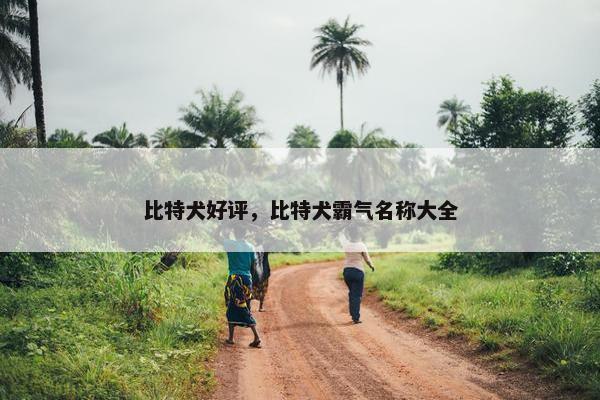 比特犬好评,比特犬霸气名称大全