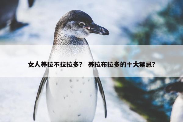 女人养拉不拉拉多？ 养拉布拉多的十大禁忌？