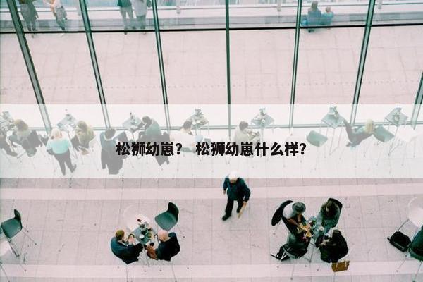 松狮幼崽? 松狮幼崽什么样?