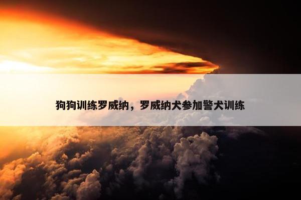 狗狗训练罗威纳，罗威纳犬参加警犬训练