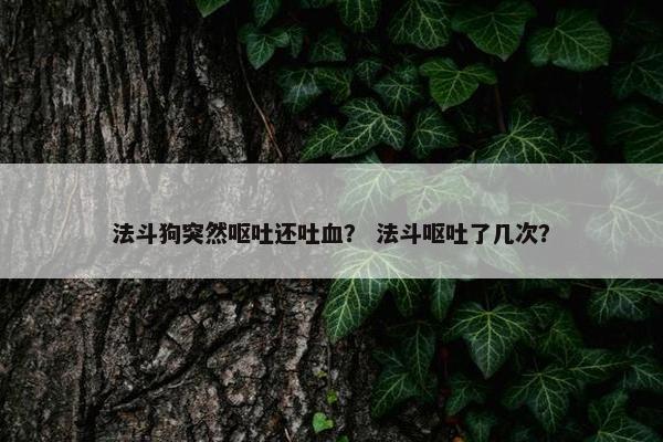 法斗狗突然呕吐还吐血？ 法斗呕吐了几次？