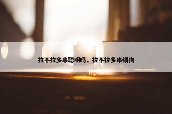 拉不拉多串聪明吗，拉不拉多串细狗