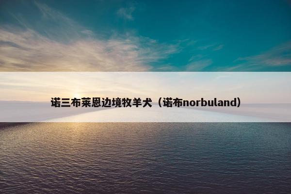 大功