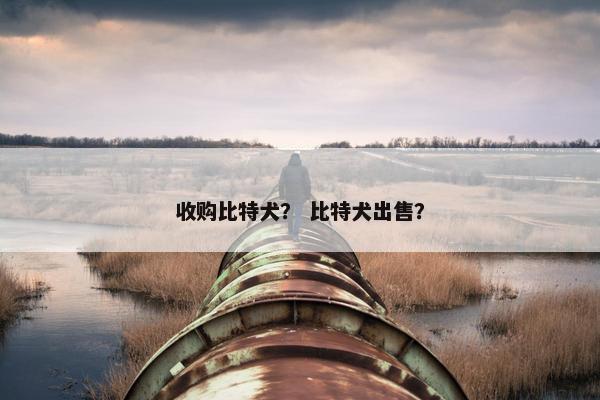 收购比特犬？ 比特犬出售？